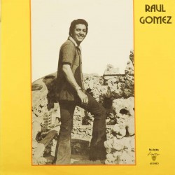 Пластинка Raul Gomez Raul Gomez